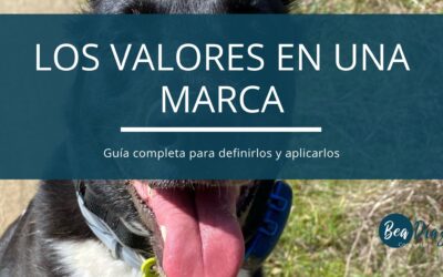 La importancia de los valores en una marca: Guía para definirlos y aplicarlos